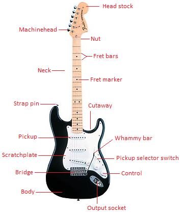 Anatomy Of Electric Guitar - Anatomy Diagram Book